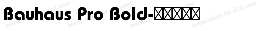 Bauhaus Pro Bold字体转换